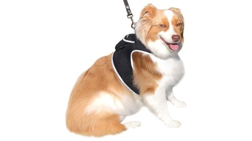 Pet Tracker Wearable Realtime Dog Tracking Devices Collar Mount Pet Finder Size:S