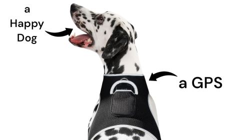 NEW USB Rechargeable Waterproof Pet Locator GPS Mini Realtime Tracker Size:M