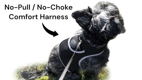 Waterproof Pet GPS Locator Device Rechargeable Dog/Cat Collar Tracker Size:S