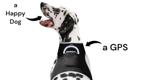 Waterproof GPS Tag Pet Tracker Realtime Security Surveillance System Size:S