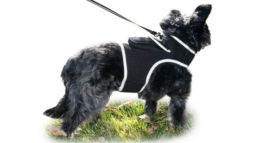 Waterproof Dog Collar Tracker Pocket GPS Realtime Pet Location Finder Size:S