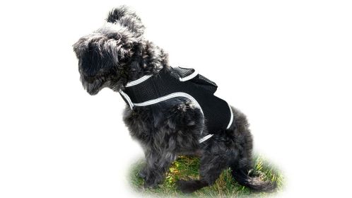 Efficient Realtime Pet Tracking Device Best Dog GPS Tracker Waterproof Size:S
