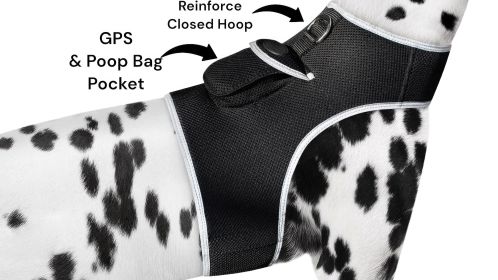 Improved Mini GPS Dog Collar Tracker Realtime Pet Locator w/ GeoFence Size:S
