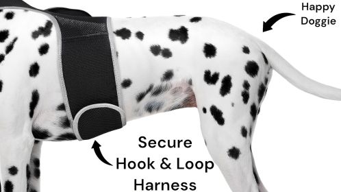 GSM GPS Dog Tracking Tag Portable Realtime Mini Waterproof Pet Tracker Size:S