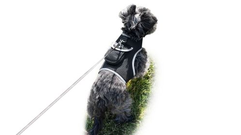 High Accuracy GSM GPS Pet Logger Waterproof Dog Cat Collar Tracker NEW Size:S
