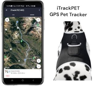 Portable Mini Surveillance Pet Tracking Collar Device Location Finder Size:L