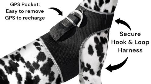 Comfortable Animal Tracker GPS GSM Pet Safe Waterproof Tracking Device Size:M