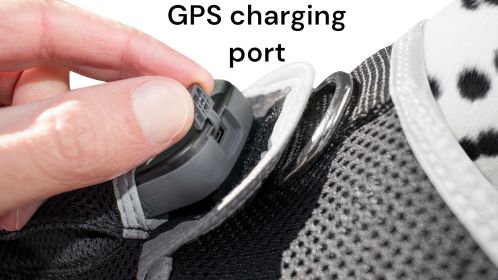 Global Surveillance GPS Tracker Pets Collar Waterproof Location Finder Size:M