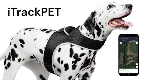 Gift Ideas - Mini Animal Tracking Device Anti-Loss GPS GSM Pet Finder Size:M